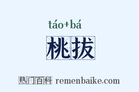桃拔是什么意思的图片
